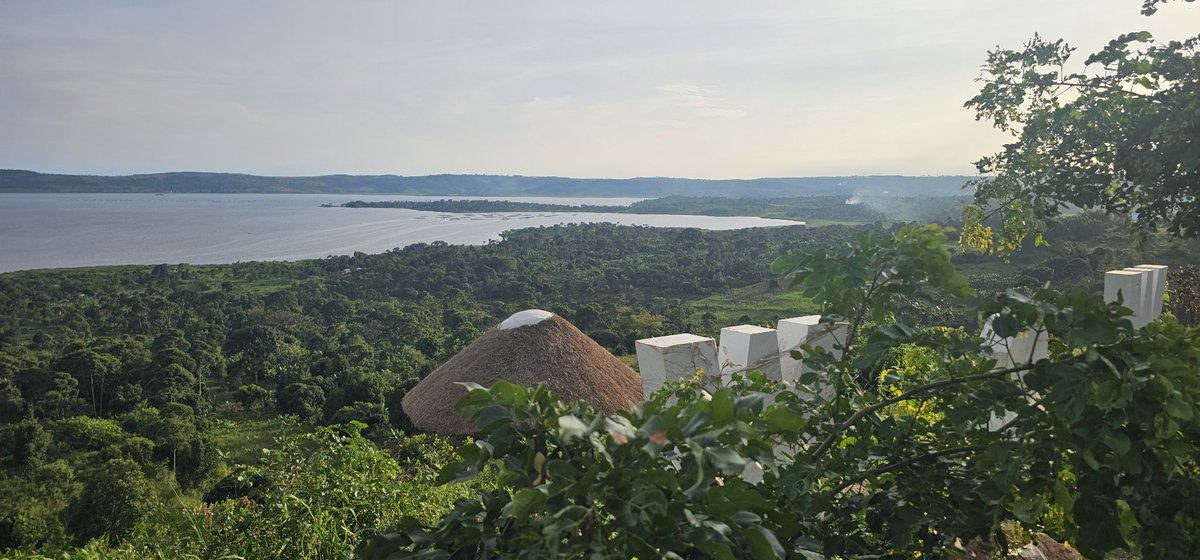 MbaziiraKazibwe's tweet photo. Its being crafted to be the next top destination.
Would you would like to be here?
Name the location with some details for a fully paid experience, as we unveil. 
#LambulaLimaLunda 
#DigitalAgroTourism
#Cocoland https://t.co/sfycsbLTce
