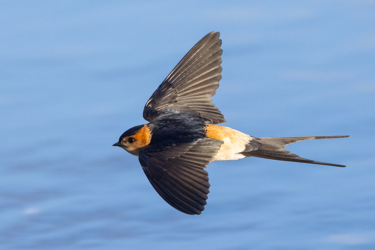 Mark Wright tweet media