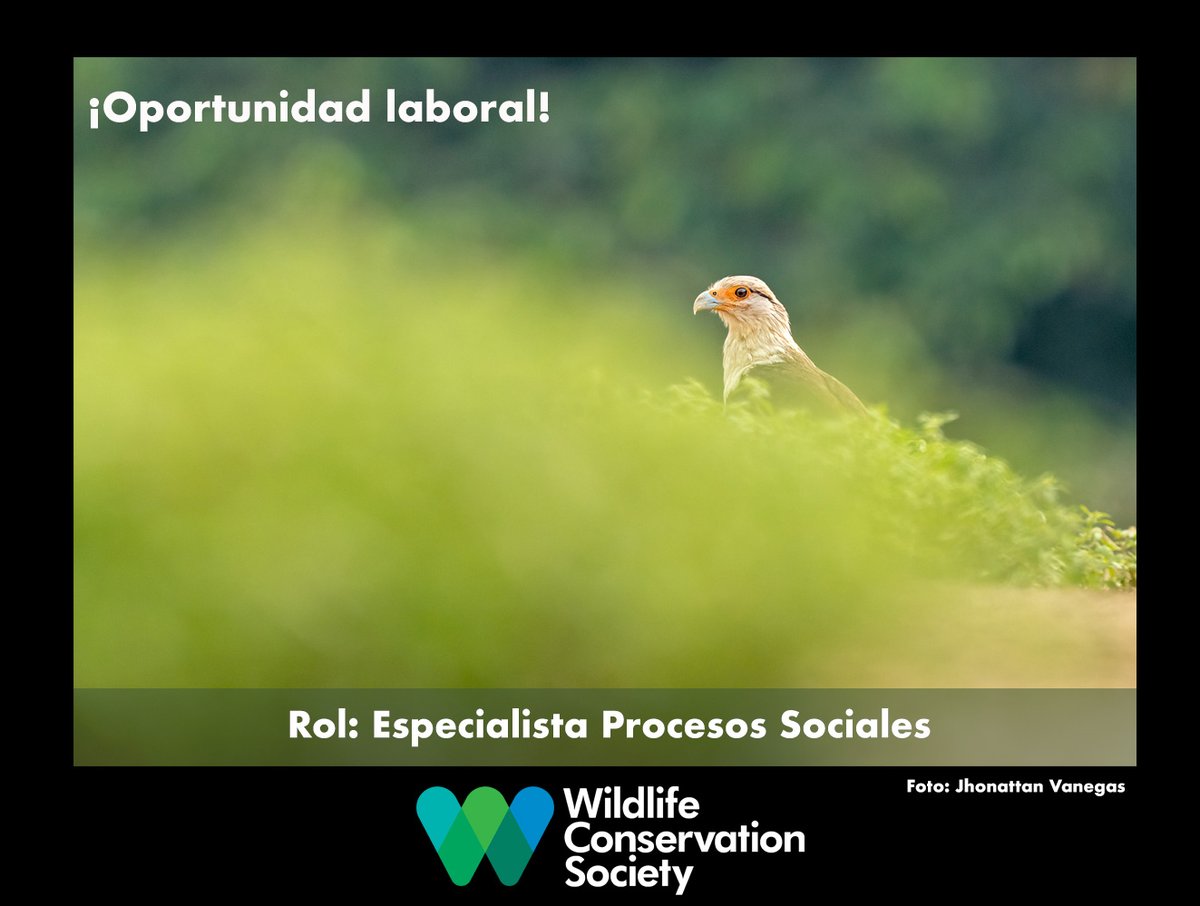 WCS Colombia 💚 tweet media