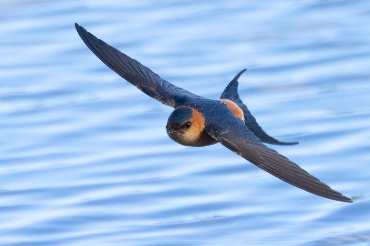 Mark Wright tweet media