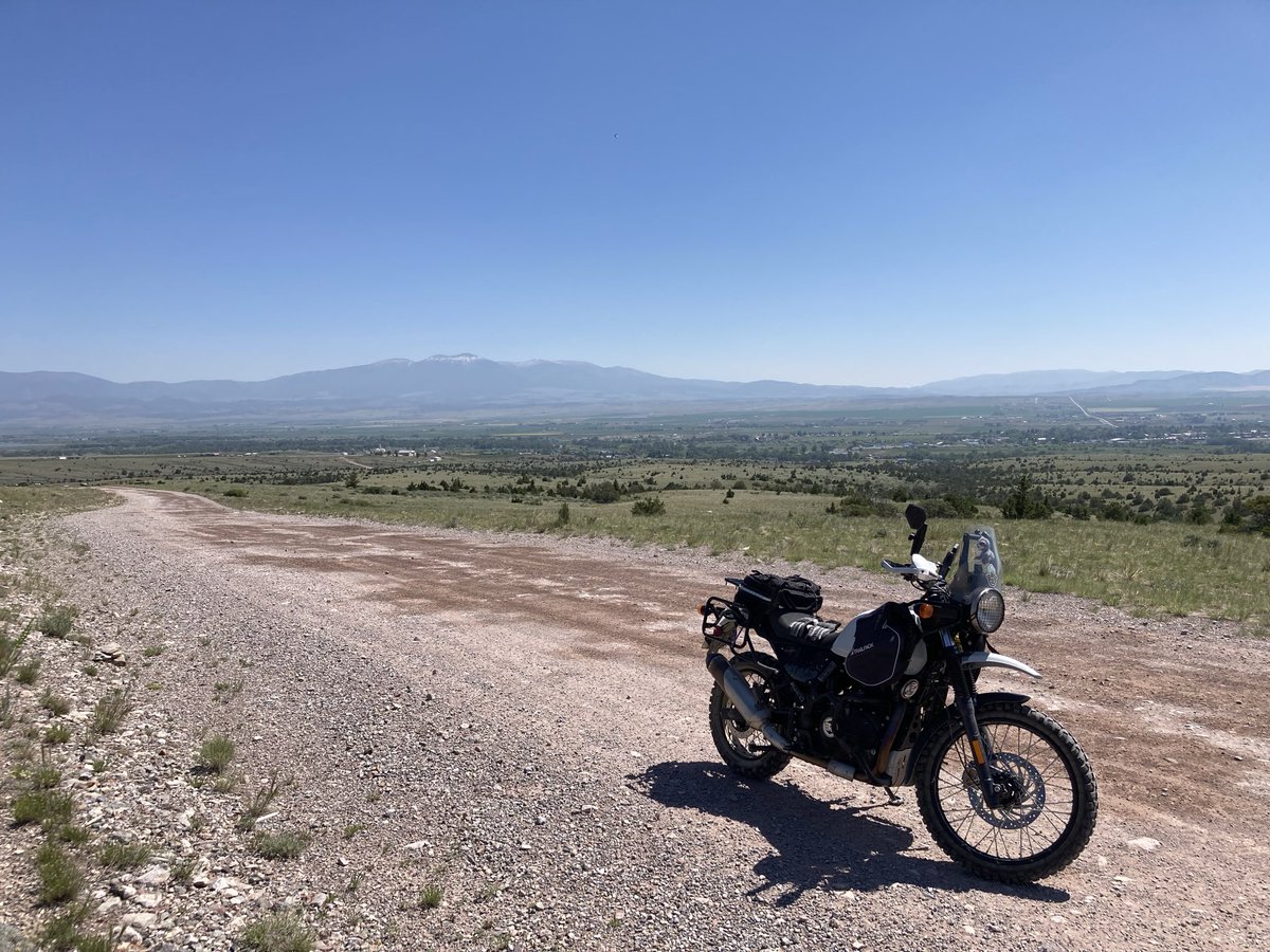 Out on a Bimble tweet media