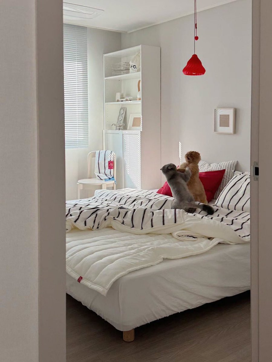 The kind of photo that deserves to be in an IKEA catalog