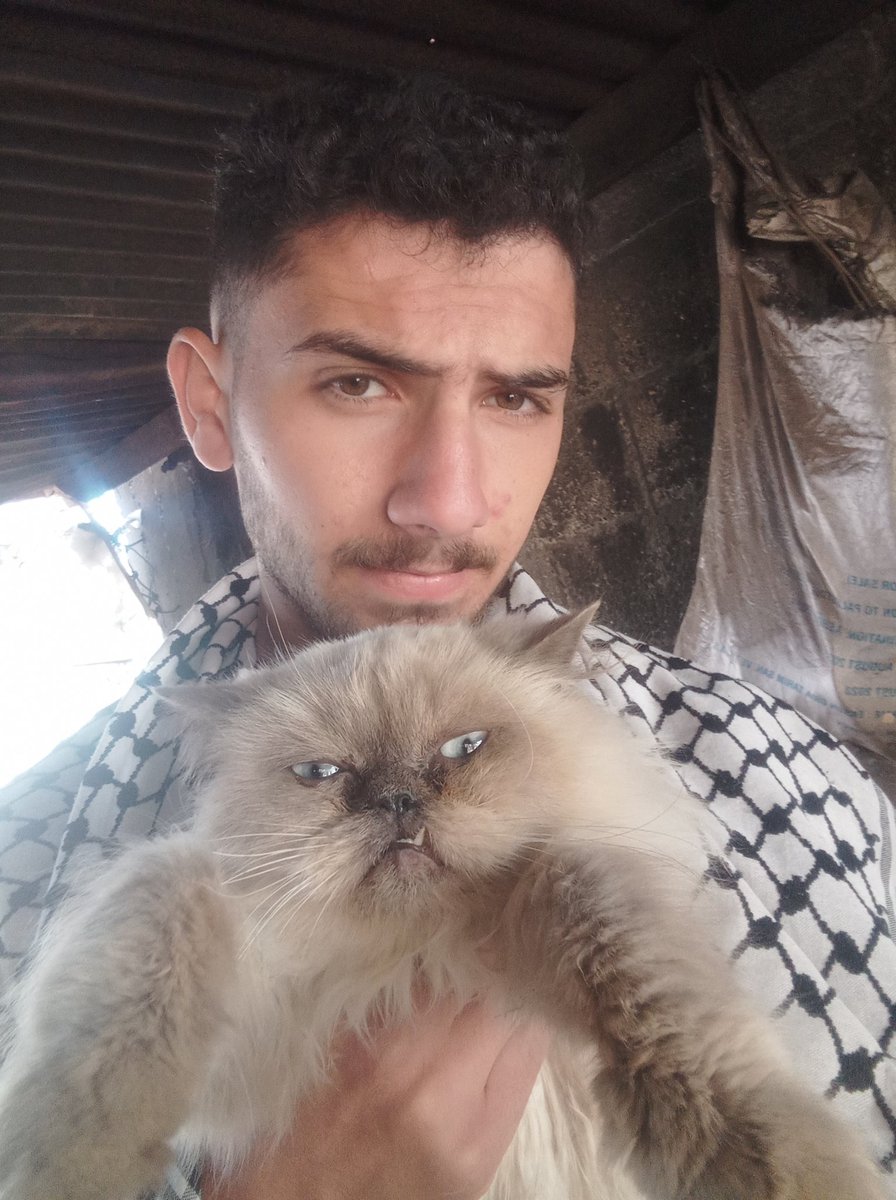 abod in Gaza🇵🇸 tweet media