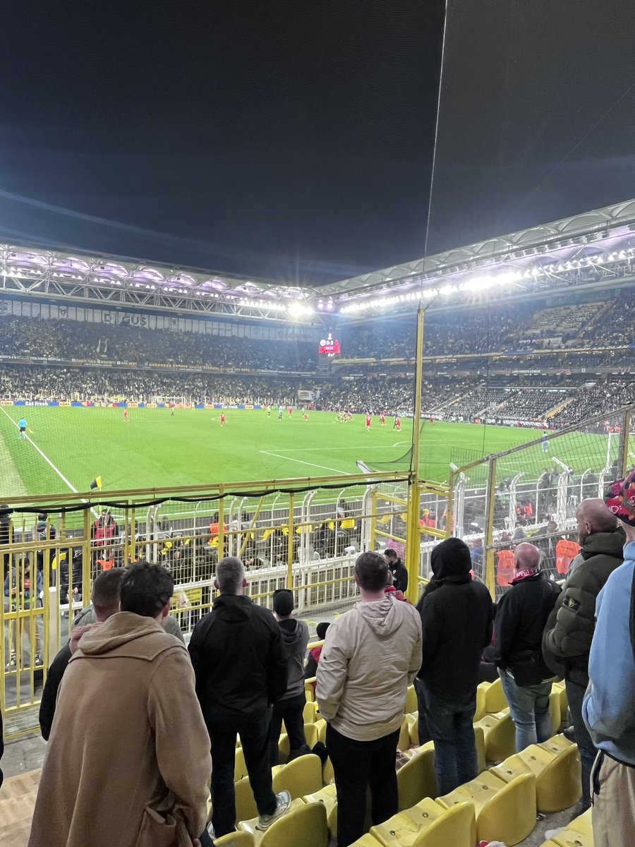 David Marples tweet media