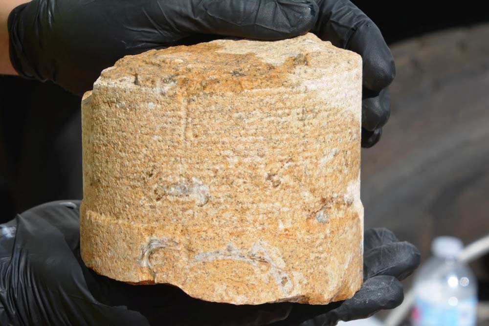 SAME National tweet media