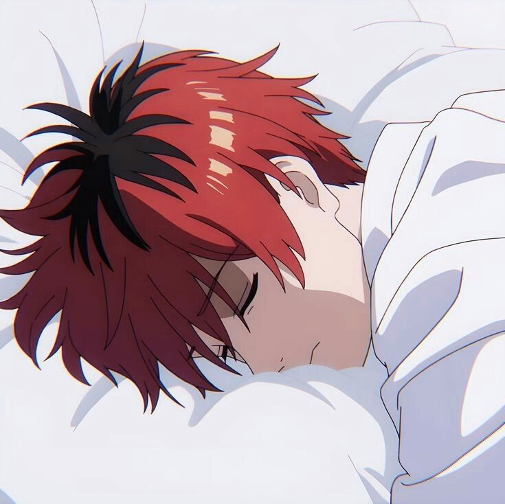 ㅤㅤ
ㅤㅤ
—— Por hoy debería de volver a la cama, ni siquiera yo tengo la intención de levantarme hoy . . . 

Quizás por hoy los papeles cambiaron.

—— ......Ni si quiera cantaron los gallos.
ㅤㅤ
ㅤㅤ