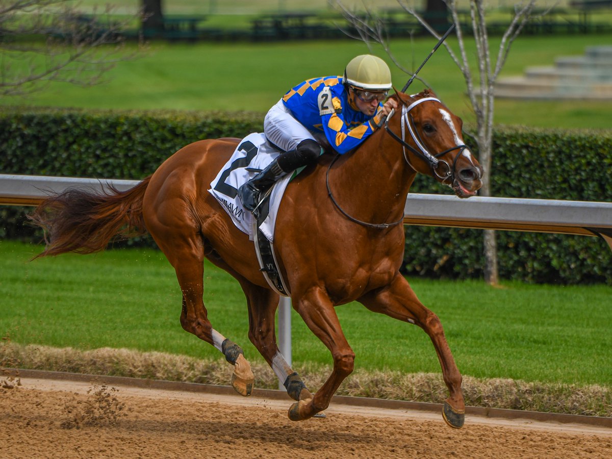 Robert Yates tweet media