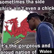 Harley 🇬🇧🇪🇺 tweet media