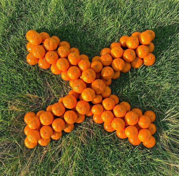 BingX_Italy 🇮🇹 | Fansclub Page tweet media