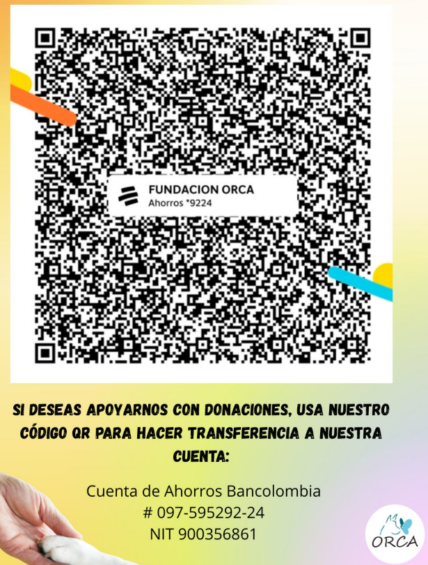 Lunareja tweet media