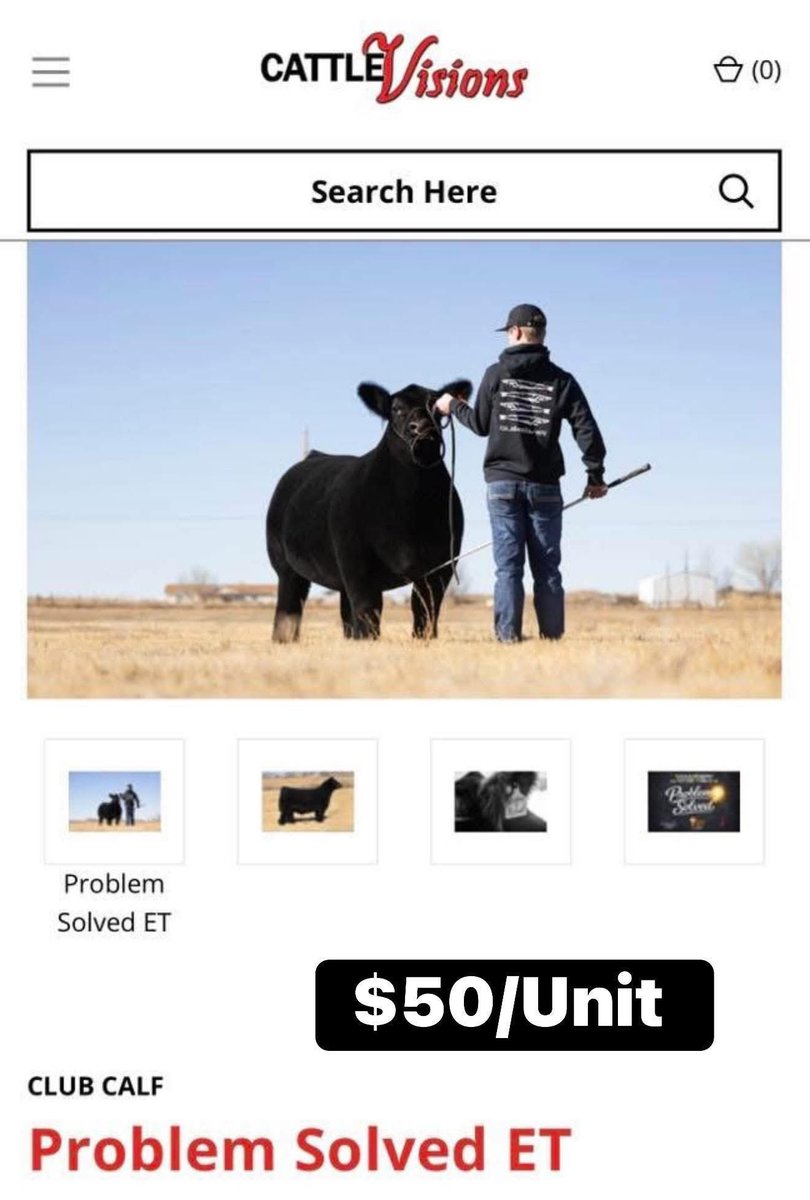 mattlautner's tweet image. #ProblemSolved #MLC #ESS #CattleVisions 

Due To “Problem Solved” Incredible Fertility &amp;amp; Consistent Production His Spring Price Has Been Updated To $50/Unit

-Full Brother To Incredibly Popular “New World Order”

-Problem Solved Is THF/PHAF 
-Pedigree: HIA x Maternal