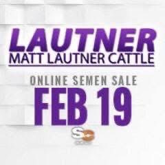 mattlautner's tweet image. #ProblemSolved #MLC #ESS #CattleVisions 

Due To “Problem Solved” Incredible Fertility &amp;amp; Consistent Production His Spring Price Has Been Updated To $50/Unit

-Full Brother To Incredibly Popular “New World Order”

-Problem Solved Is THF/PHAF 
-Pedigree: HIA x Maternal