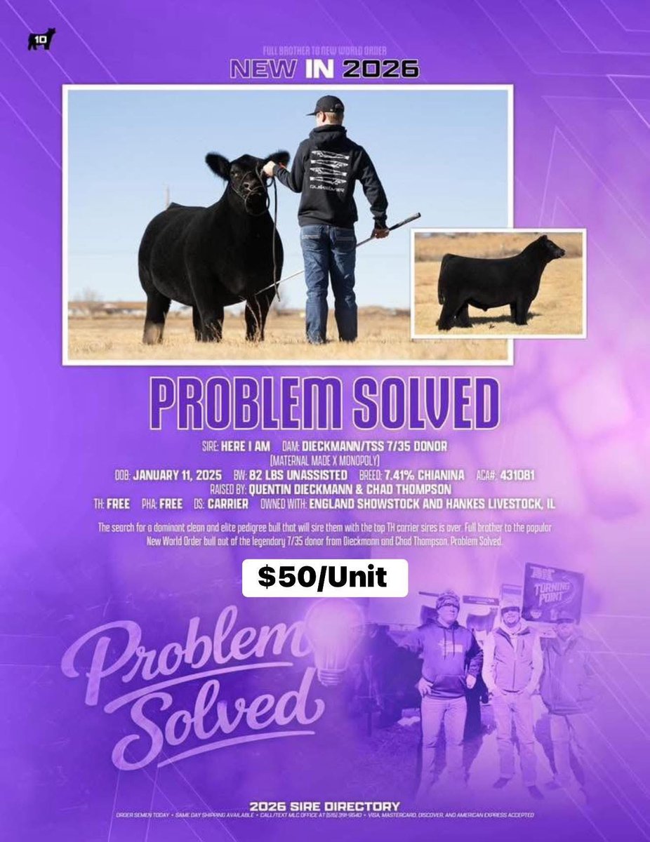 mattlautner's tweet image. #ProblemSolved #MLC #ESS #CattleVisions 

Due To “Problem Solved” Incredible Fertility &amp;amp; Consistent Production His Spring Price Has Been Updated To $50/Unit

-Full Brother To Incredibly Popular “New World Order”

-Problem Solved Is THF/PHAF 
-Pedigree: HIA x Maternal