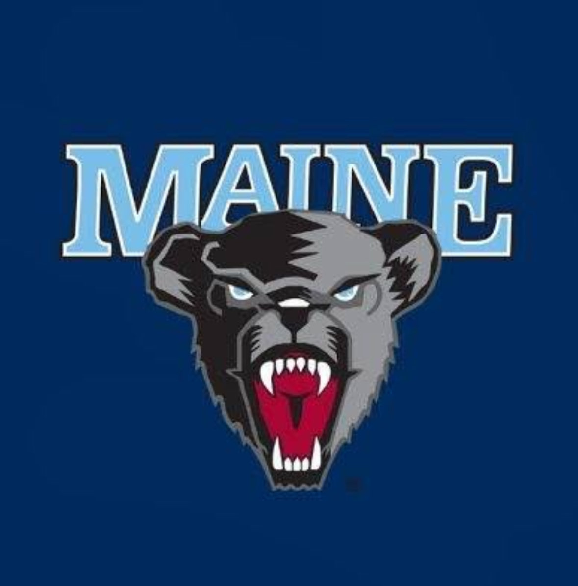 Trent Buttles tweet media