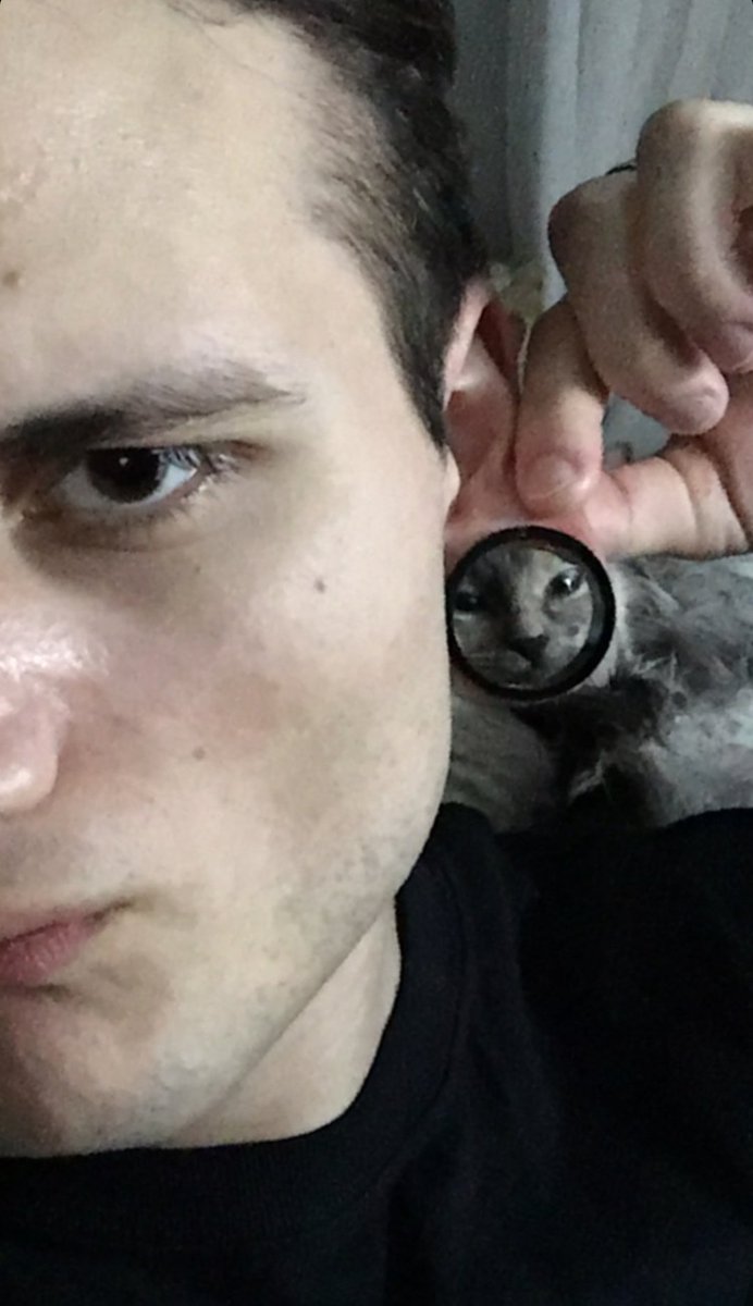 чорна шибениця tweet media