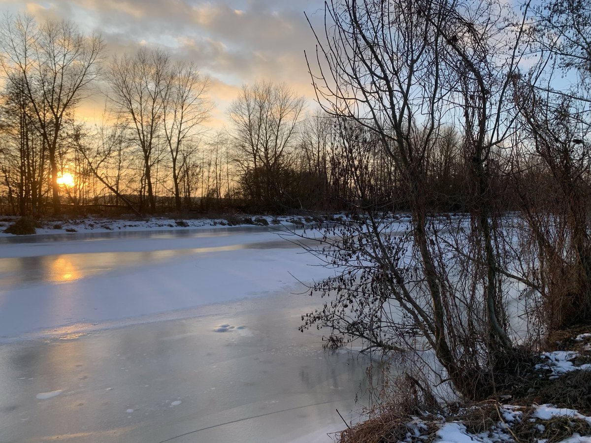 Miz Kitty tweet media