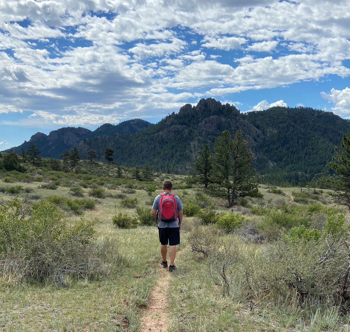 BryanDoerner_SF's tweet photo. 🌤️ Seriously counting down the minutes until the sun comes back out! I’m so ready for some epic hikes and fresh air. Missing those golden rays and scenic trails more than ever. Come on, good weather—let’s make it happen! 🌞🥾 
#OutdoorAdventures #ExploreNewMexico #SantaFeTrails https://t.co/5M4XT0m0Lv