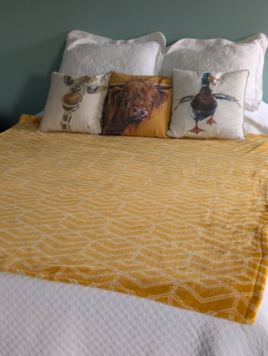 IMake_MyBed's tweet image. Happy
#bedinspo #madebed #makeyourbed #imakemybed #googlepixelphotography