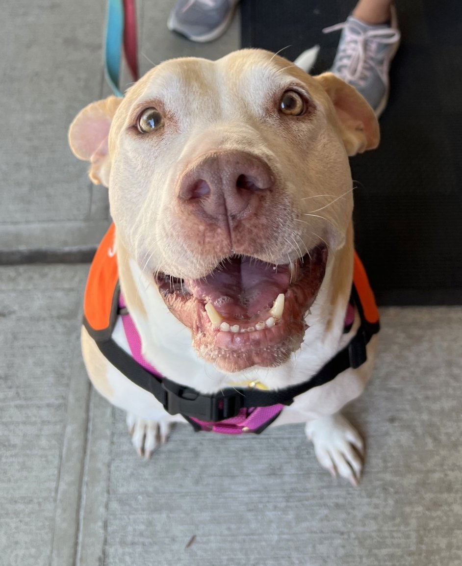 Carter Subaru tweet media