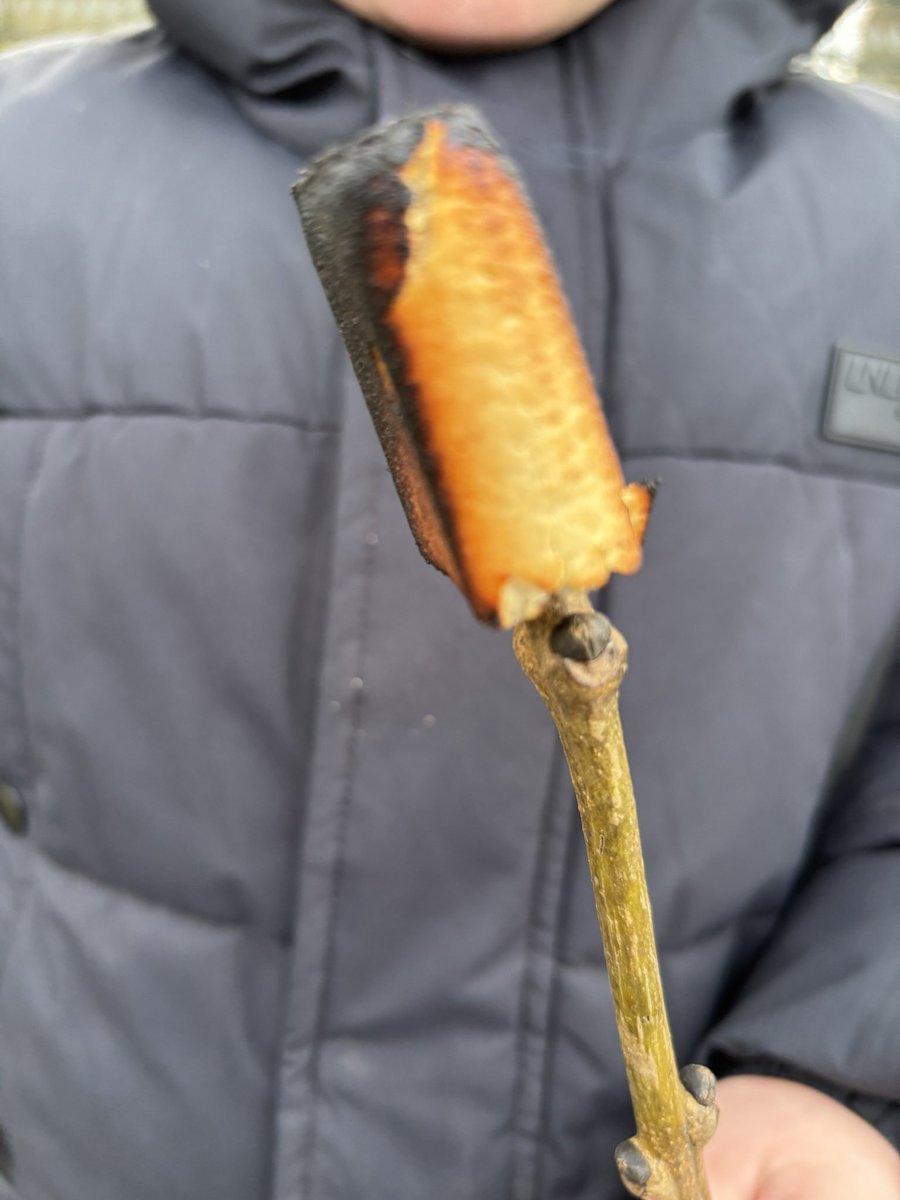 Thrills and Skills for Life🇺🇦🇬🇧 tweet media