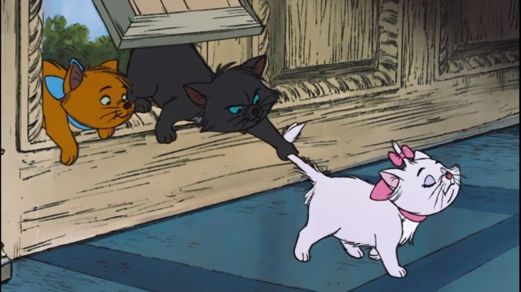 softly magical°🦢♡ tweet media