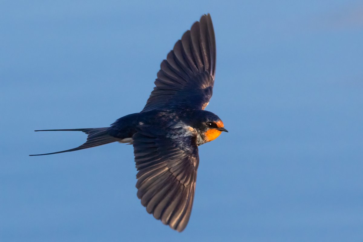 Mark Wright tweet media