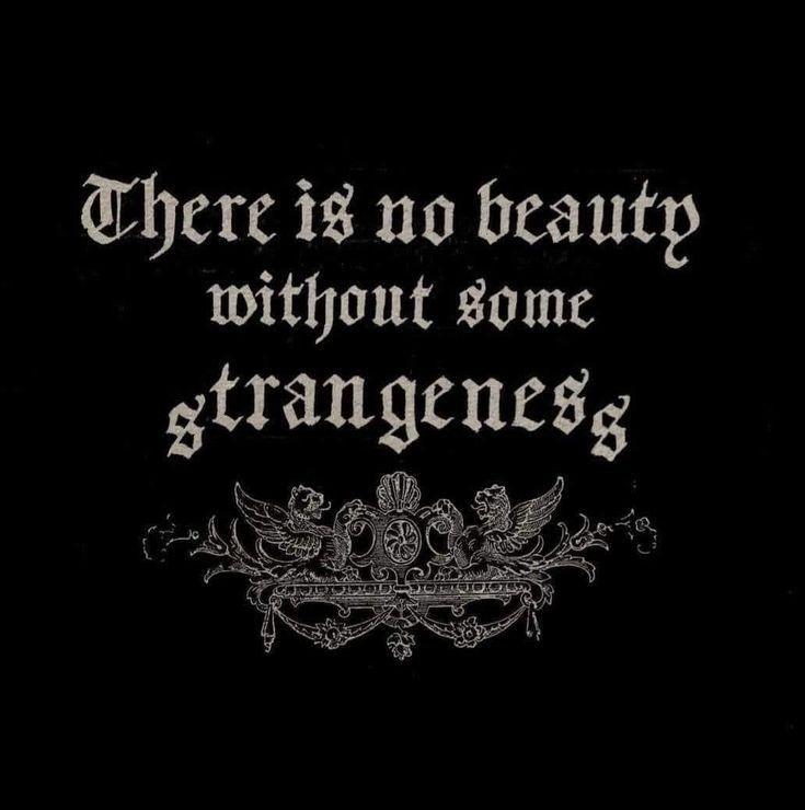 Black. (@blackdreamvibes) on Twitter photo 