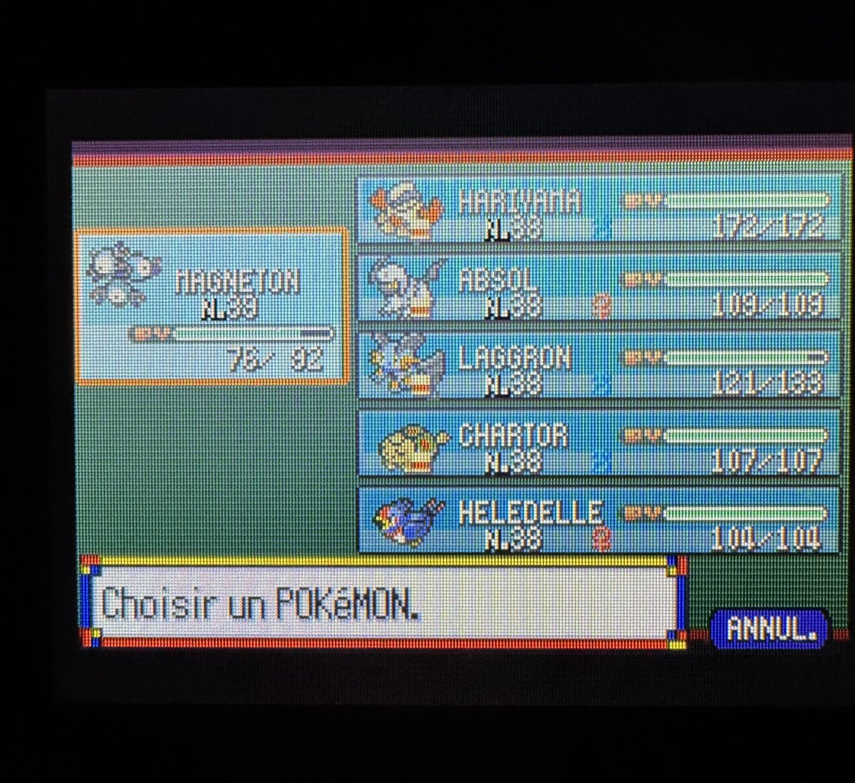 le K 🌟 tweet media