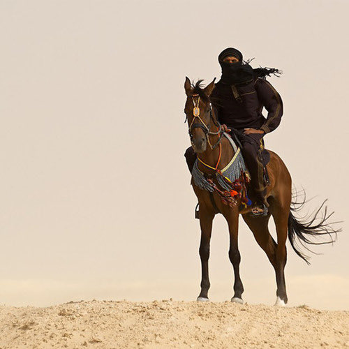 Mr.Wolf 🐺🎋 tweet media