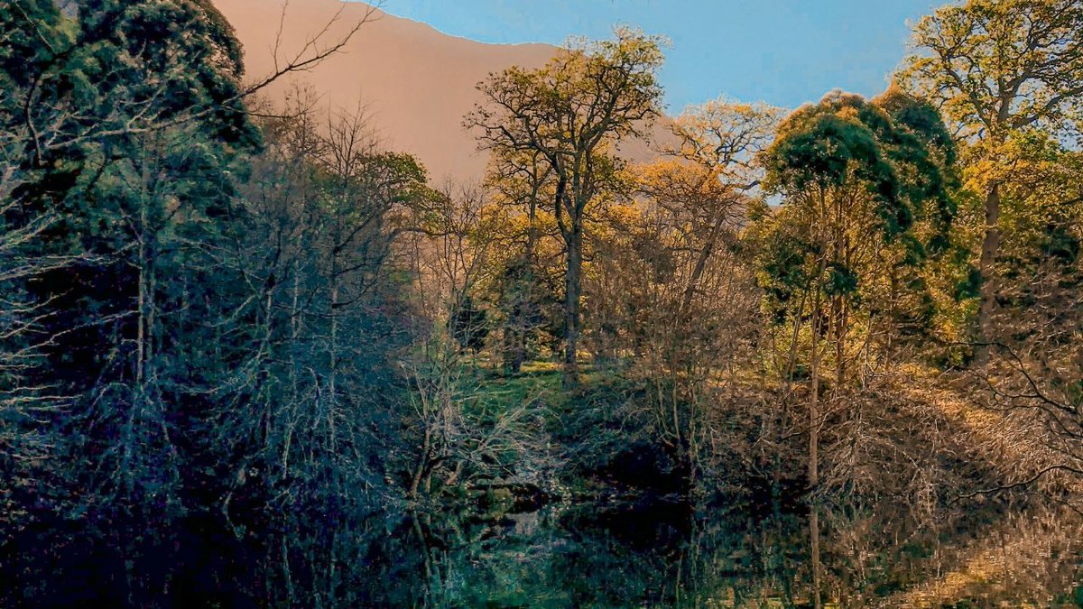 CapeTownEtc's tweet image. A good weekend away should feel complete, not compressed. The best small towns are the ones where 48 hours feels just right. #getaway #smalltownstops #weekendvibes capetownetc.com/things-to-do-c…