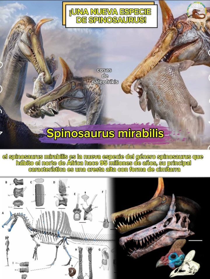 cosas de paleofrikis tweet media