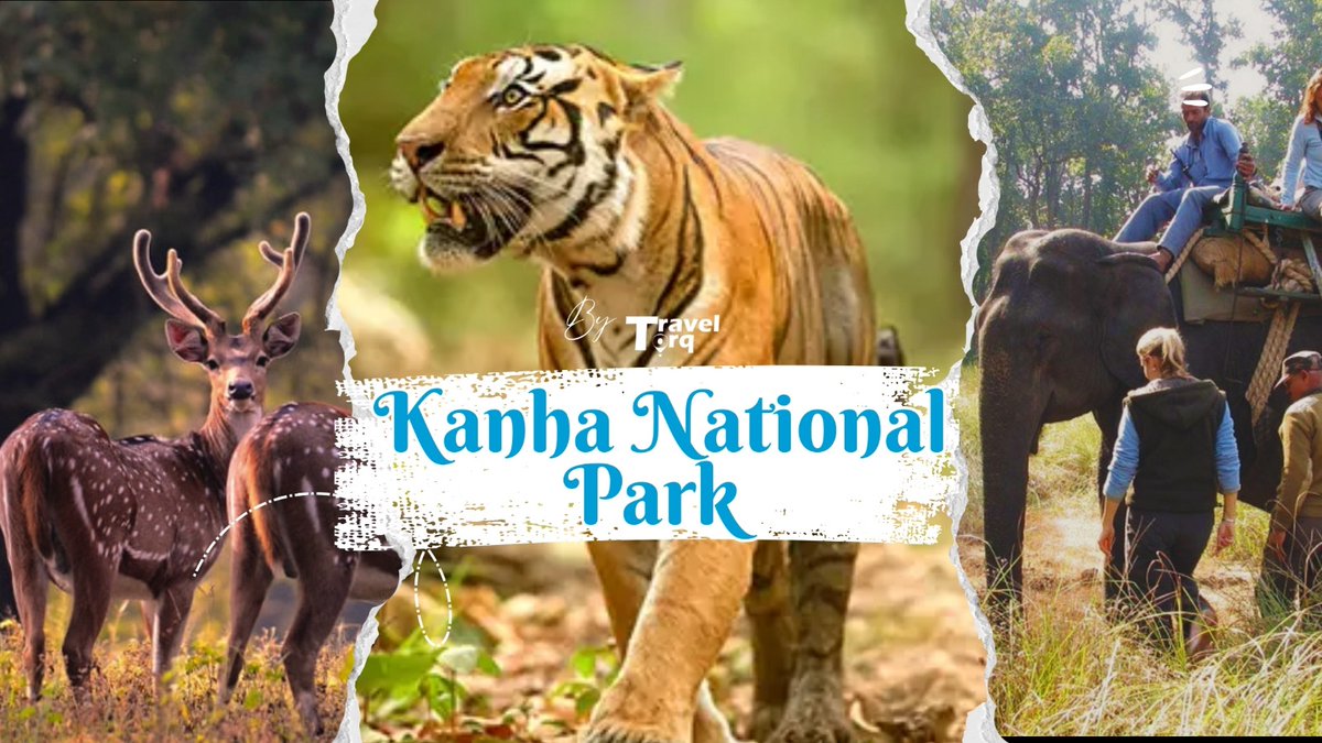 TravelTorq's tweet image. 🐅 Ready to Witness the King in His Kingdom?

Explore the beauty, thrill, and secrets of Kanha National Park — one of India’s most iconic wildlife destinations.

👉 Read the full blog 

traveltorq.com/kanha-national…

#wildlifetravel #kanhanationalpark #traveltorq #safariexperience
