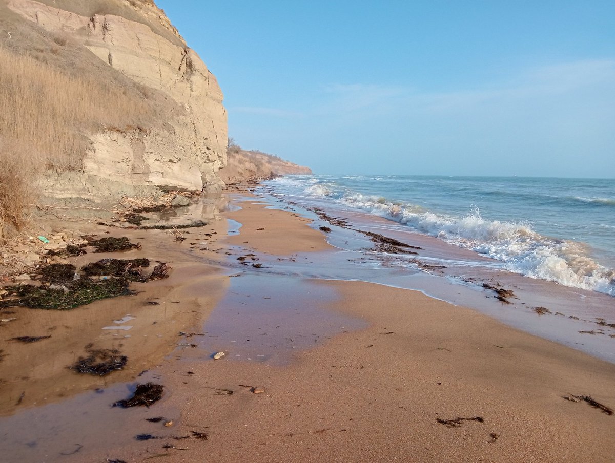 bnm | ETHGas ⛽ tweet media