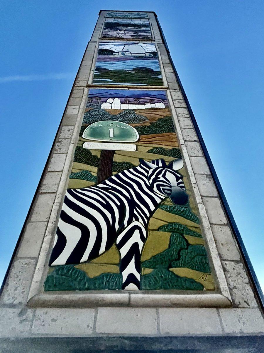 WildDevice's tweet image. The Wild Zebra (Equus quagga) of Highway 1 

#photography