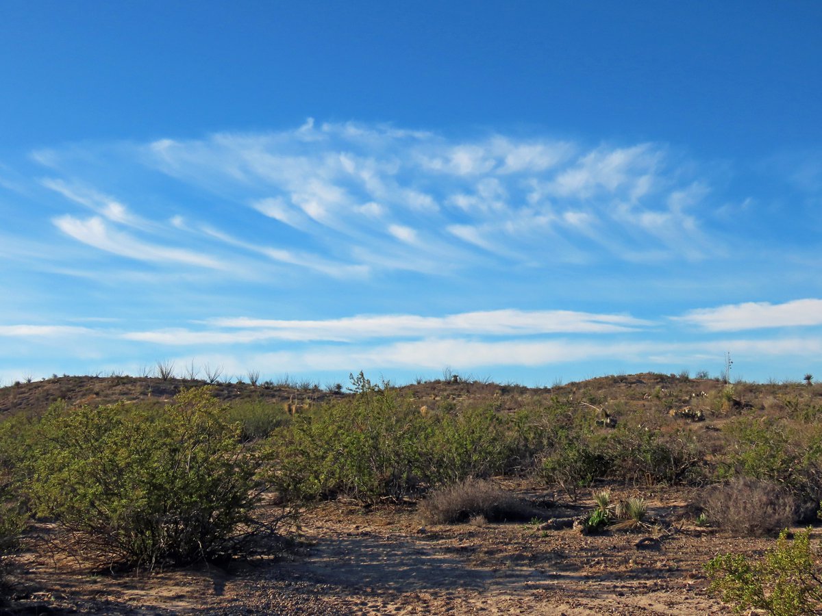 #ChihuahuanDesert today.  Early wind was a painter of clouds this morning.
