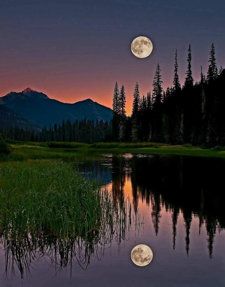 IMAGE OF THE DAY / FOR MOON LOVERS ❤
Beautiful photograph of the full moon reflected on the lake. 👍
🌈❤🌎💫✨⭐