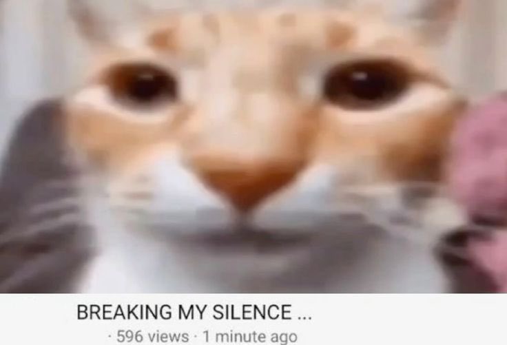 jas ⋆˙⟡ tweet media