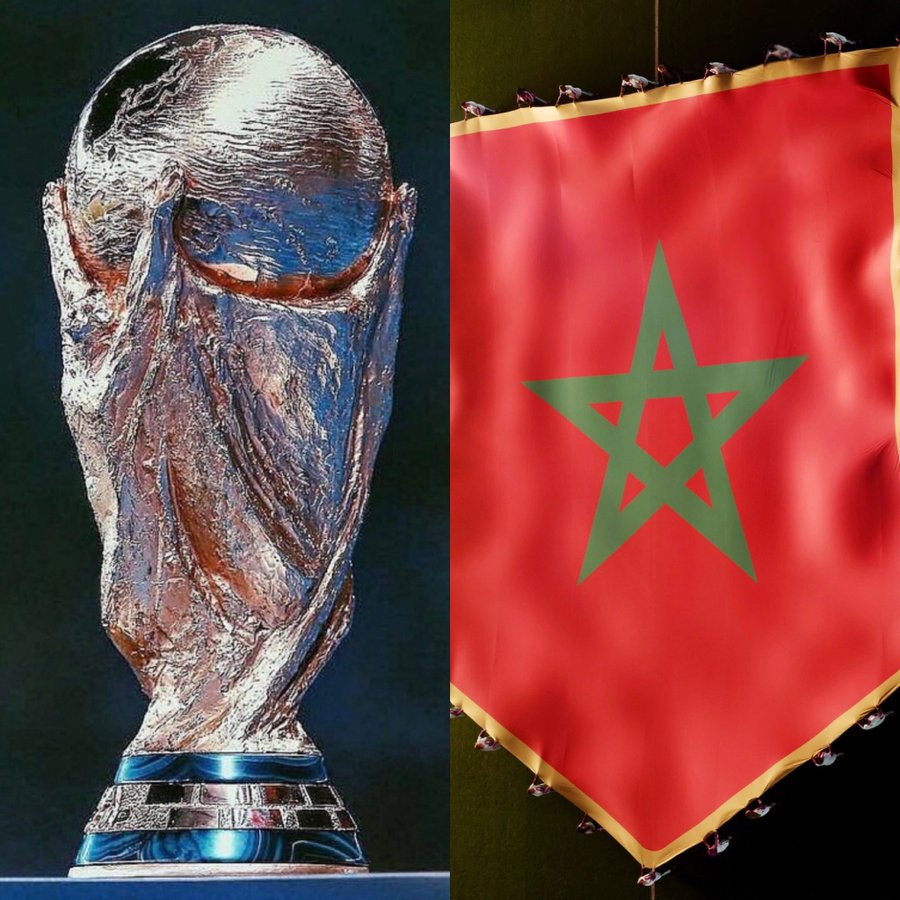 TTendenciaX's tweet image. "Marruecos":
Porque informan que el país musulmán realizó un "genocidio de perros" para "limpiar las calles" de cara al Mundial 2030. Hay más de 3 millones de perros asesinados y sumando. Los musulmanes consideran a los perros "haram" y justifican matarlos.