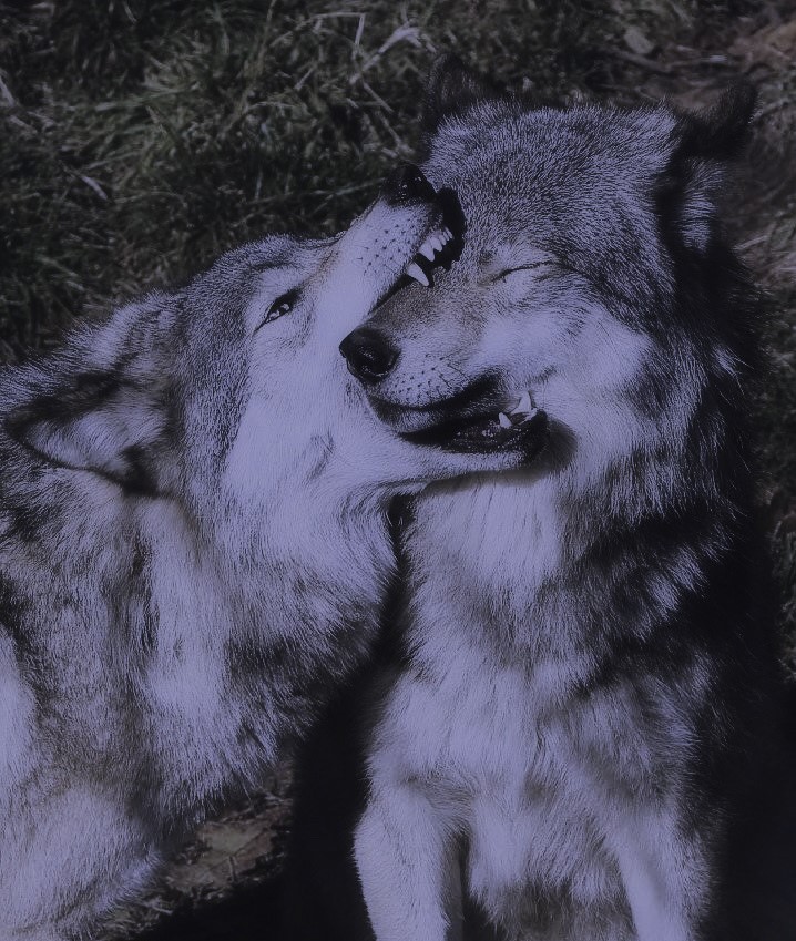 ✞ 🗝️ (@hakaelll) on Twitter photo 