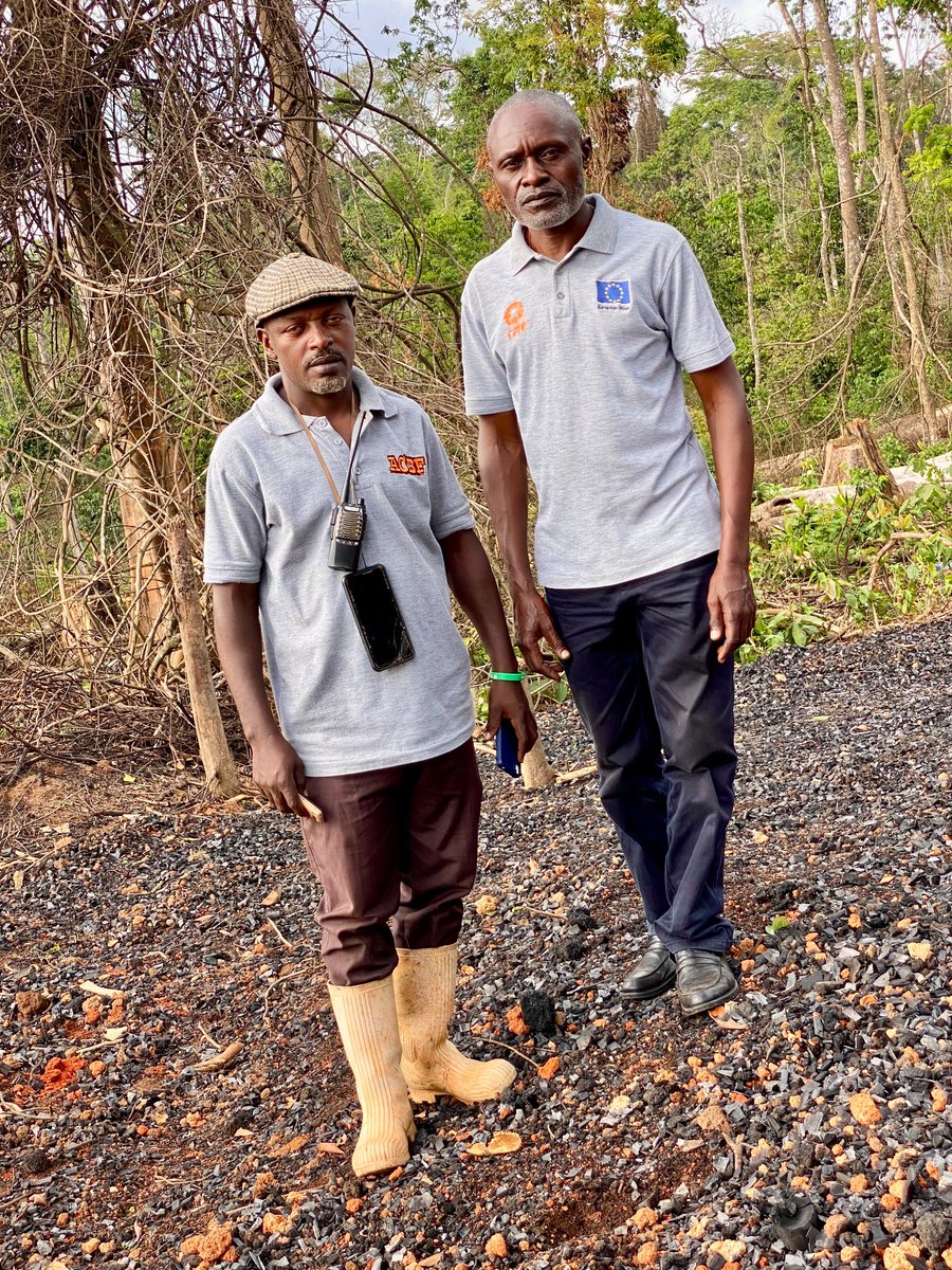 Association for Conservation of Bugoma Forest tweet media