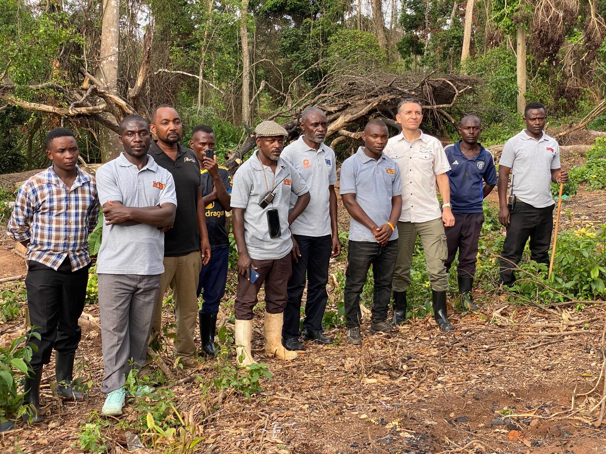 Association for Conservation of Bugoma Forest tweet media