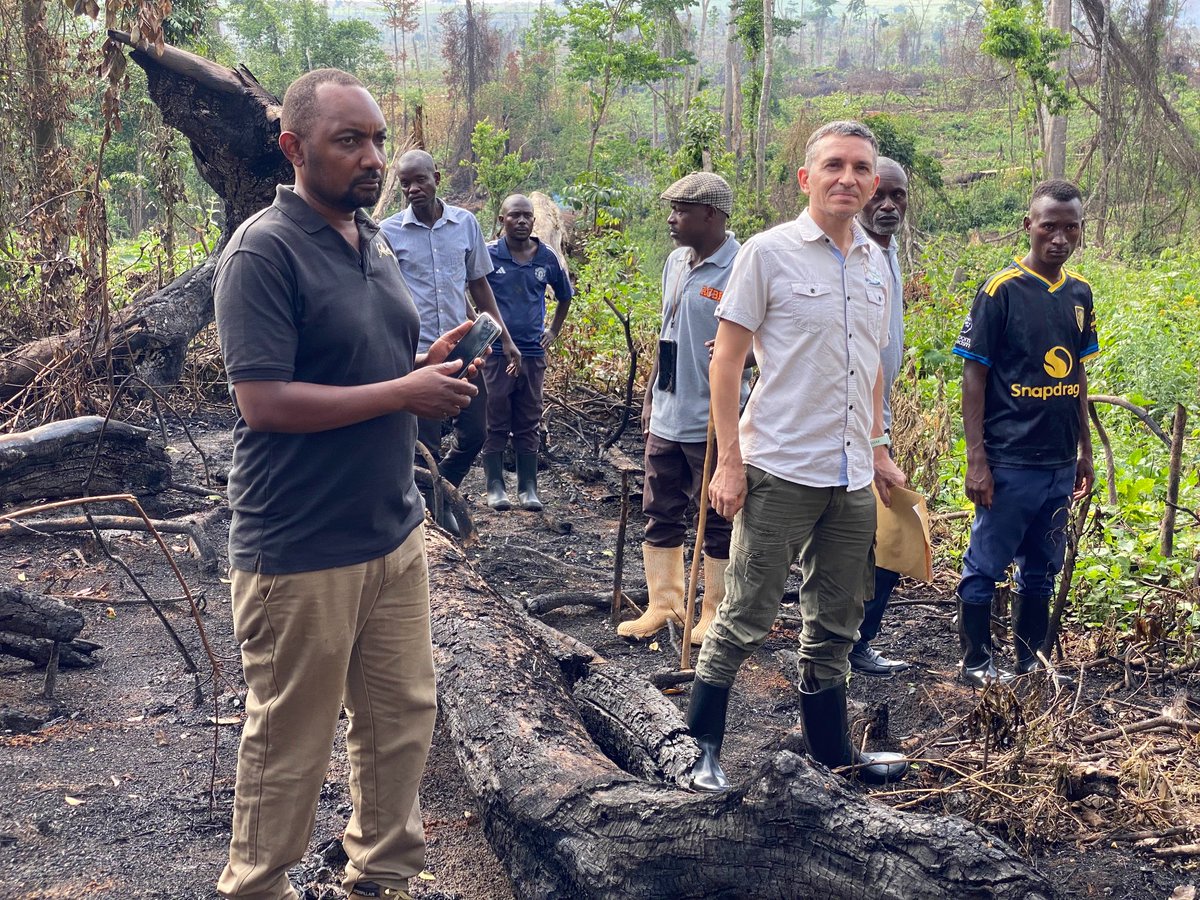 Association for Conservation of Bugoma Forest tweet media