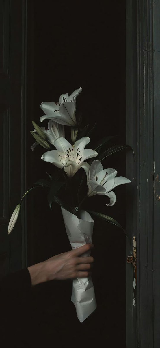 Black. (@blackdreamvibes) on Twitter photo 