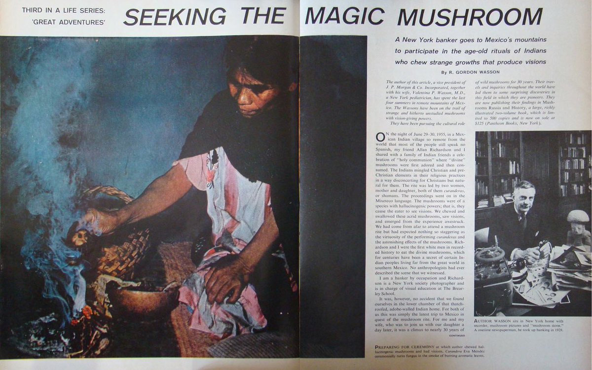 FatherMcKennaa's tweet image. Most people think the 60s discovered psychedelics organically.

The article that introduced magic mushrooms to America was written by a JP Morgan VP.

Funded by the CIA. Filed as MK-Ultra Subproject 58.
LIFE  Magazine, 1957.
