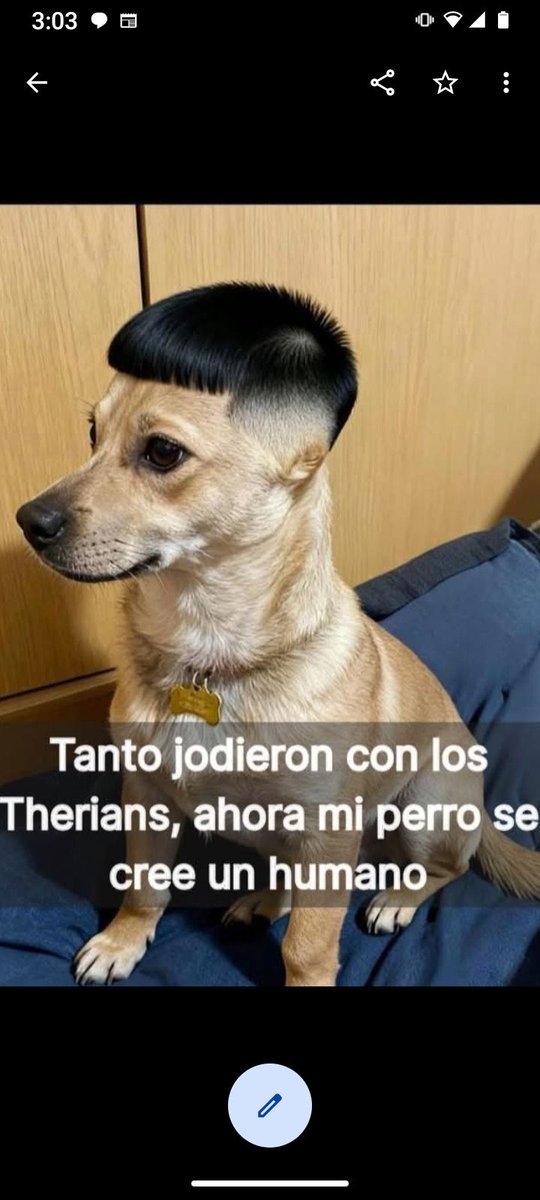 DrDecorazon1's tweet photo. Jaja https://t.co/BYQHyVi4ae