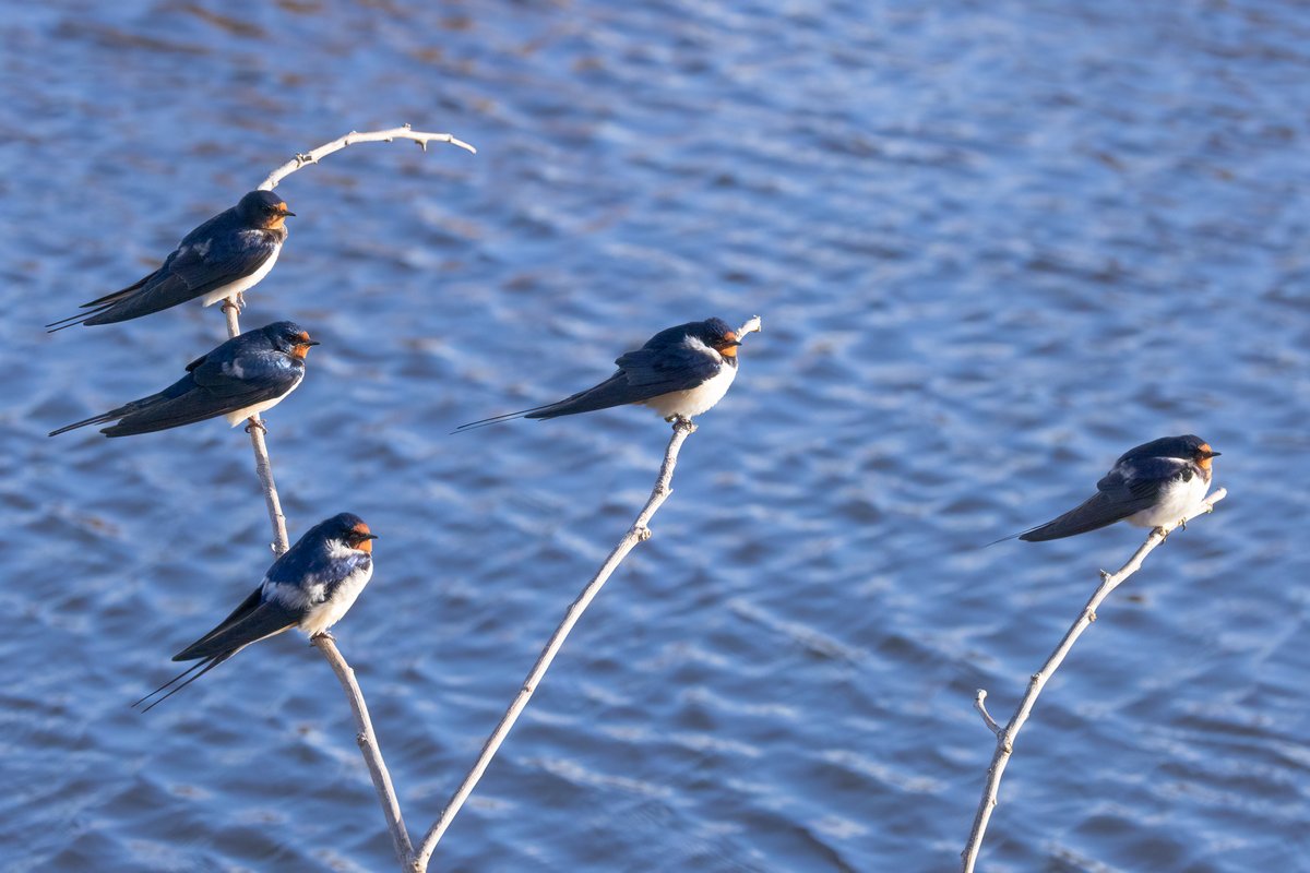 Mark Wright tweet media