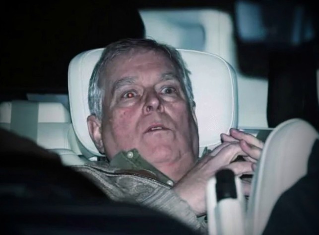 Translate Things tweet media