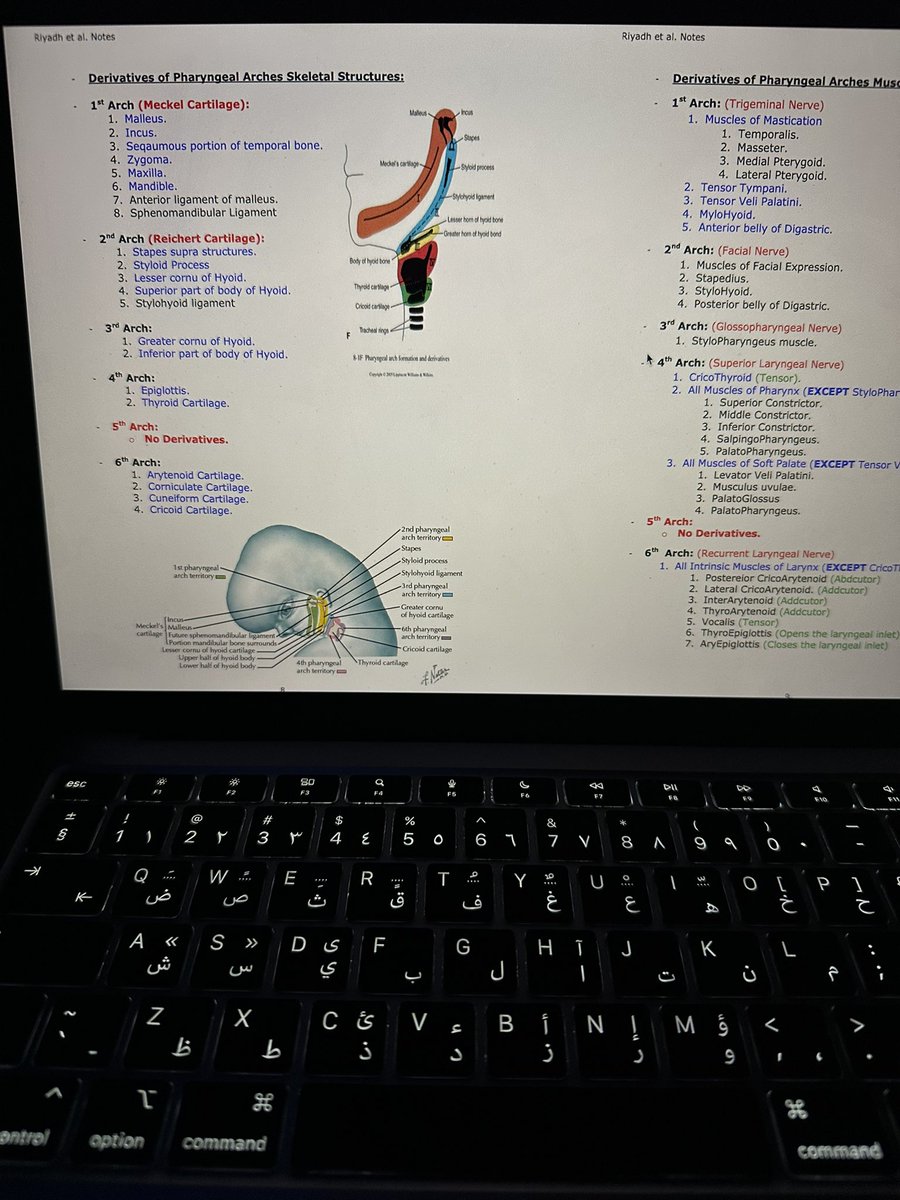 الامبيرولوجي بعد مادمر درجاتك في البيسك راجع يكمل عليك في الرزدنسي: