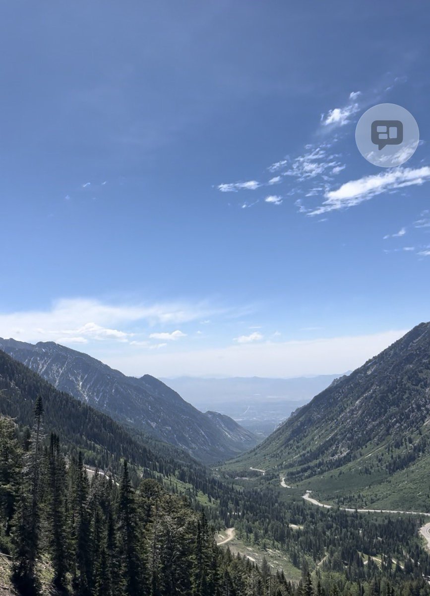 Frances Kern Mennone tweet media