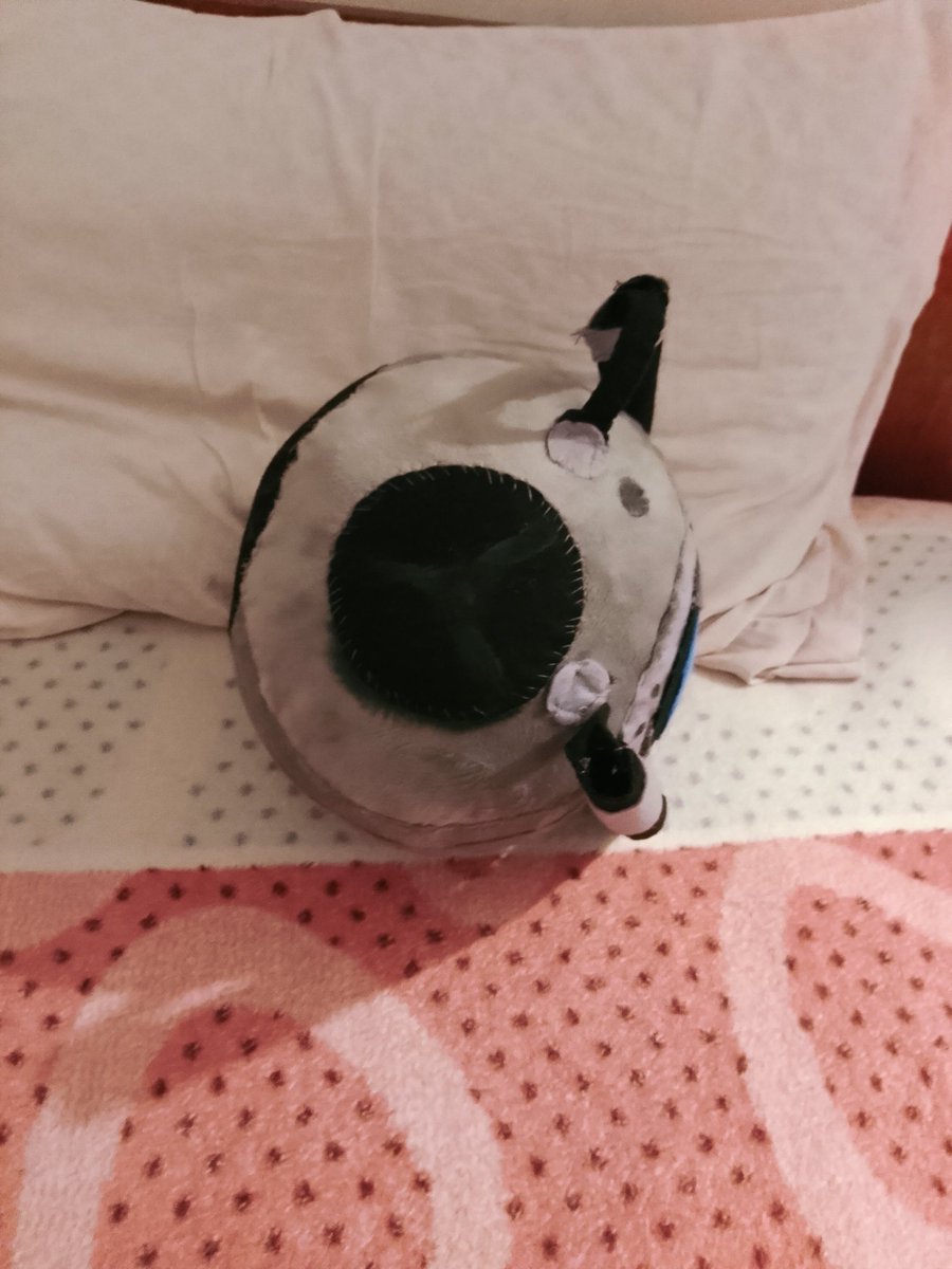jelipherr's tweet photo. 5 hours. Plush fabric. Felt. Paint. Pain.

Wheatly handmade
Real
#portal2 #portal #wheatley #handmade https://t.co/ZBJldRFbYd